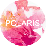 polaris - Accueil